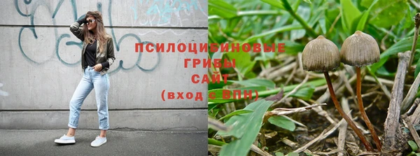 спайс Аркадак